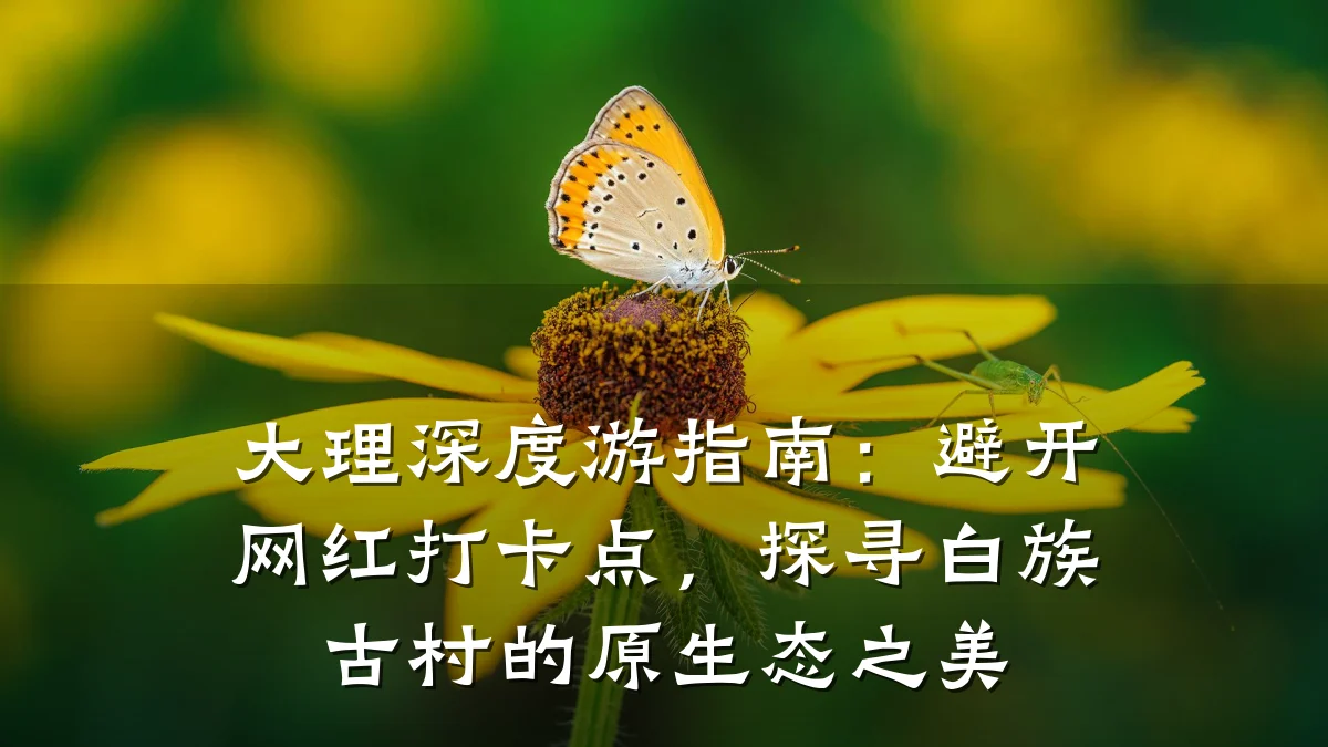 大理深度游指南:避开网红打卡点,探寻白族古村的原生态之美