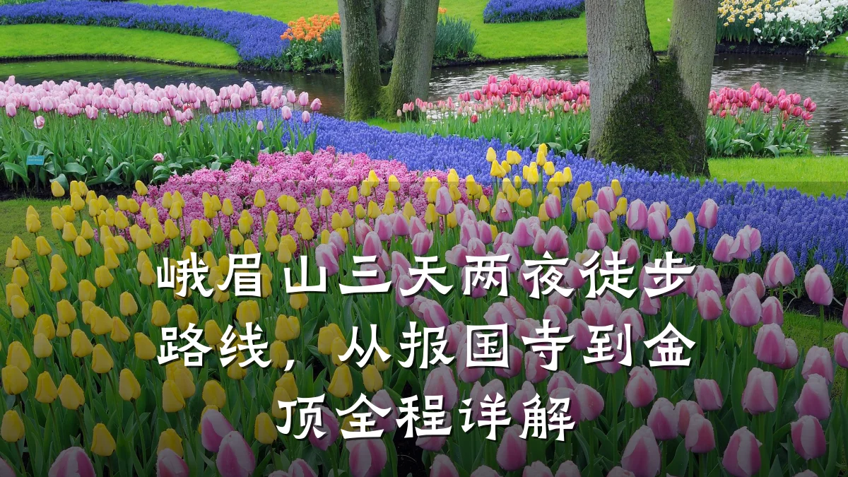 峨眉山三天两夜徒步路线,从报国寺到金顶全程详解