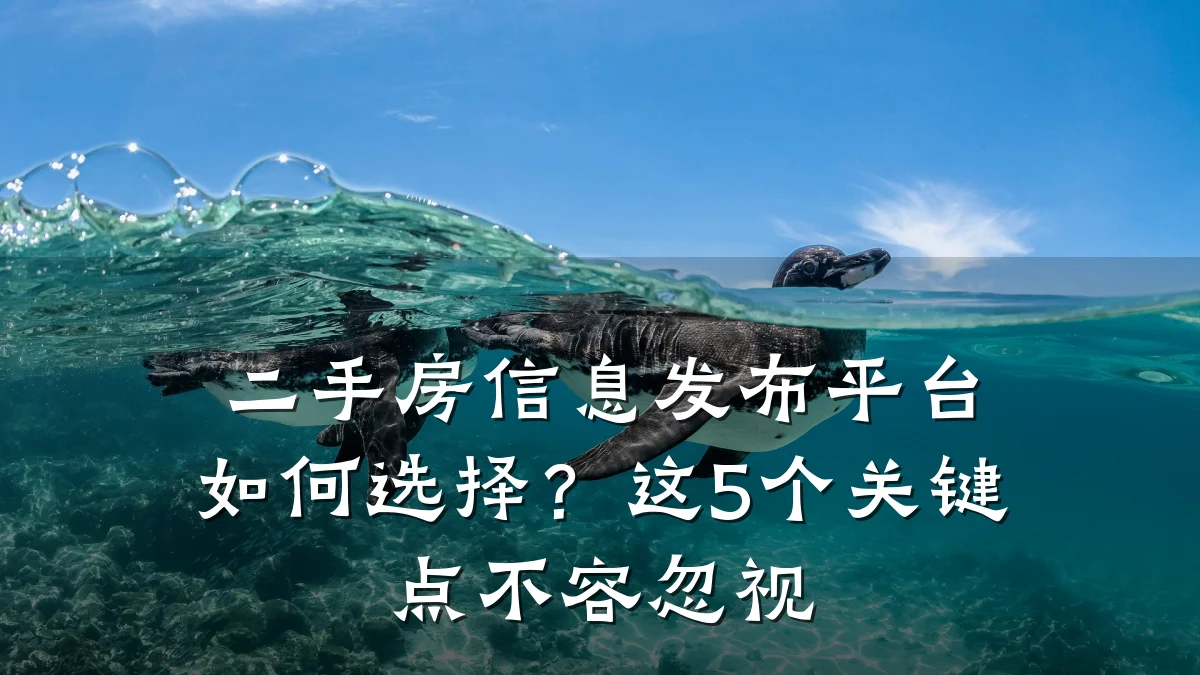 二手房信息发布平台如何选择？这5个关键点不容忽视