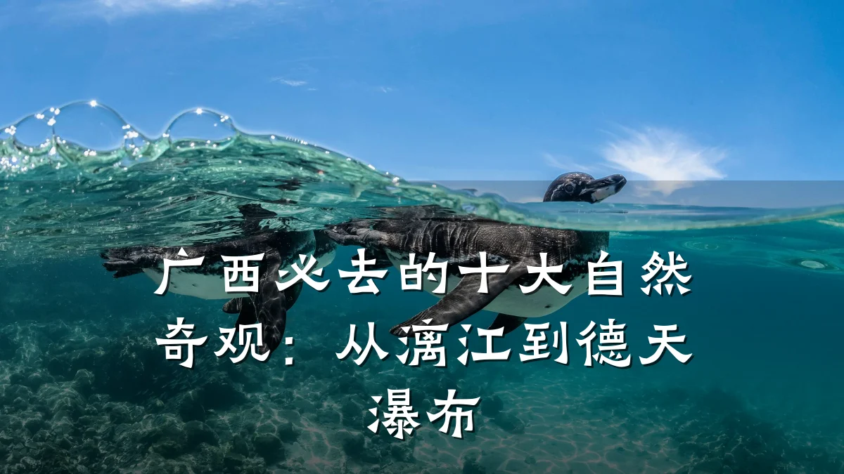 广西必去的十大自然奇观:从漓江到德天瀑布