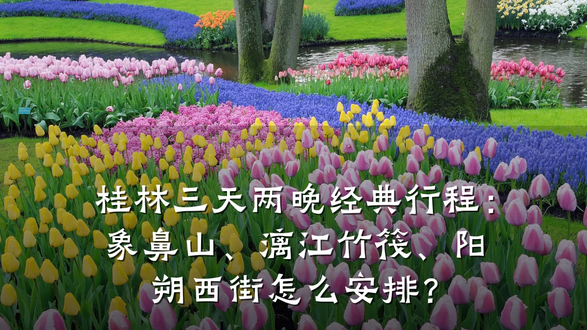 桂林三天两晚经典行程:象鼻山、漓江竹筏、阳朔西街怎么安排?