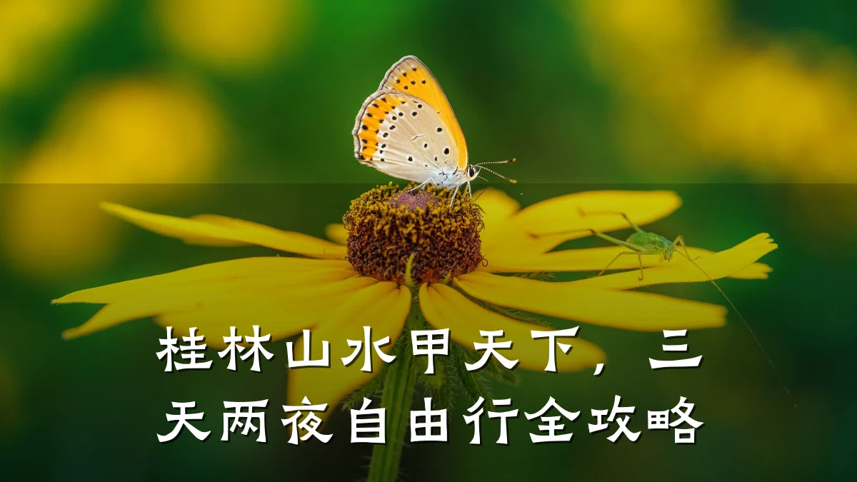 桂林山水甲天下,三天两夜自由行全攻略