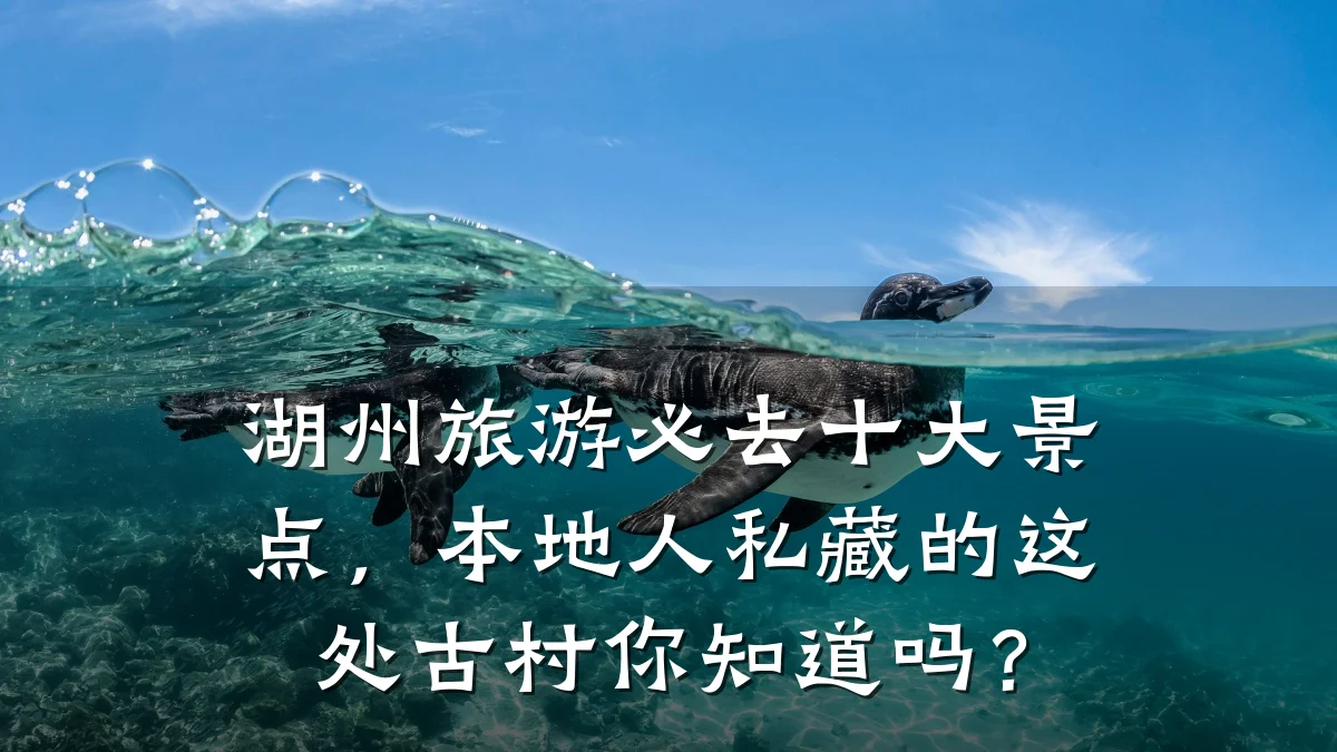 湖州旅游必去十大景点,本地人私藏的这处古村你知道吗?