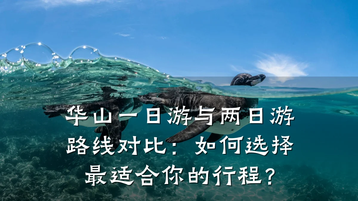 华山一日游与两日游路线对比:如何选择最适合你的行程?