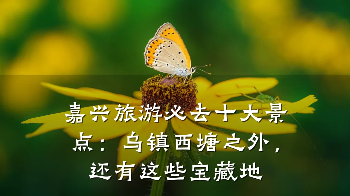 嘉兴旅游必去十大景点:乌镇西塘之外,还有这些宝藏地