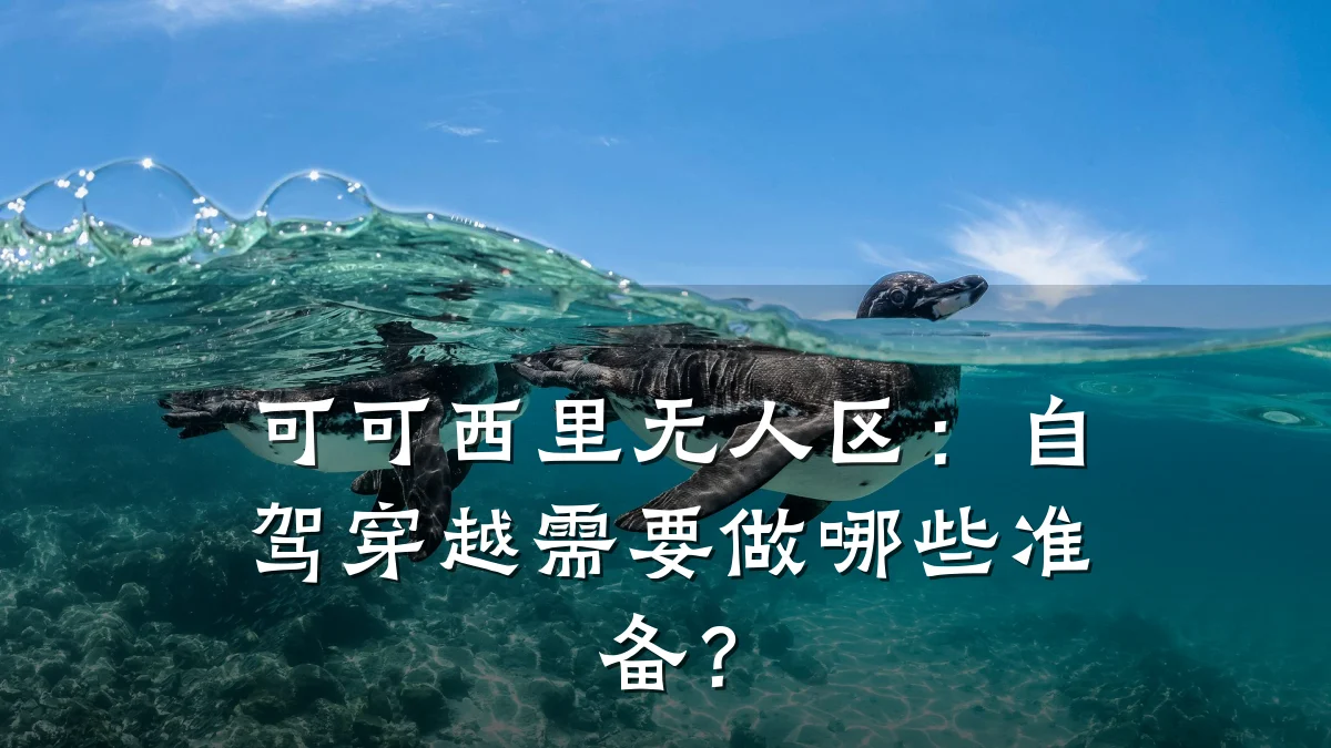 可可西里无人区:自驾穿越需要做哪些准备?