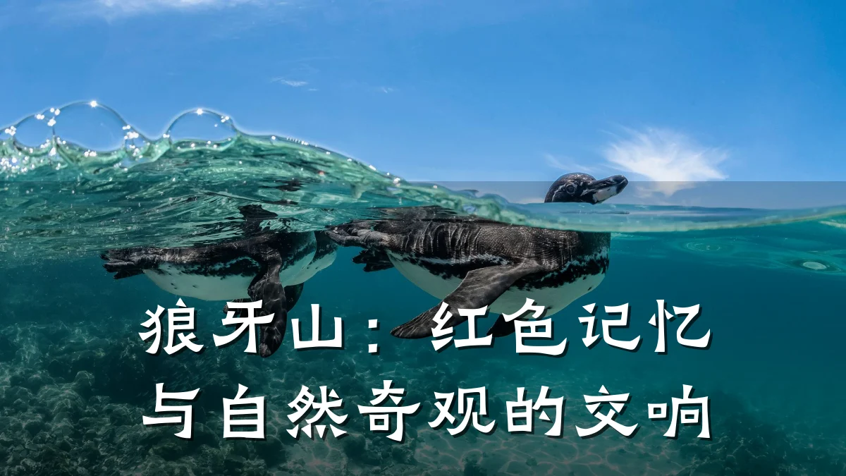 狼牙山:红色记忆与自然奇观的交响