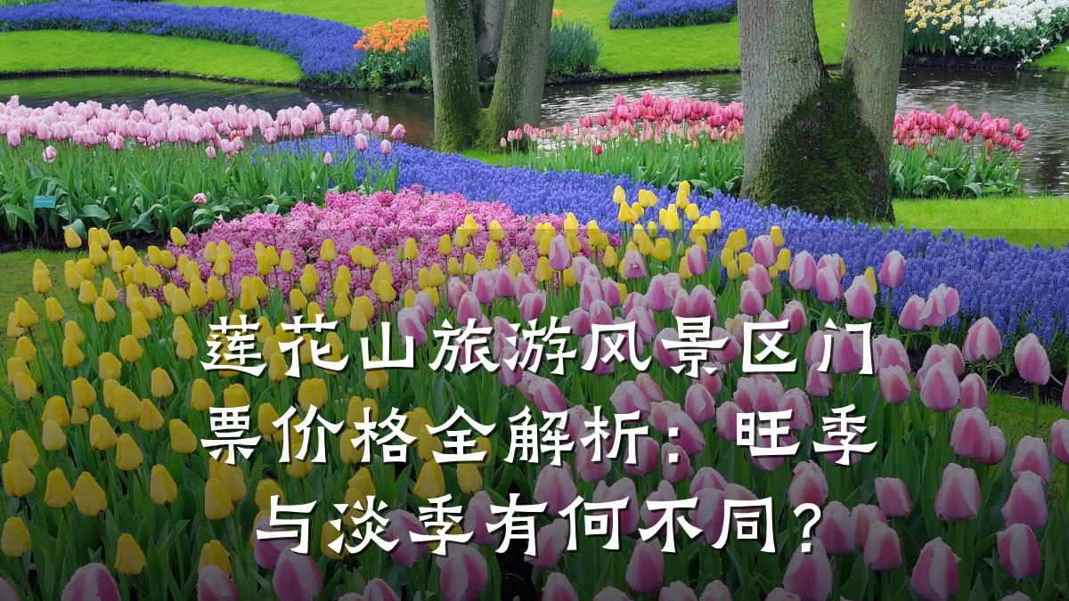 莲花山旅游风景区门票价格全解析:旺季与淡季有何不同?
