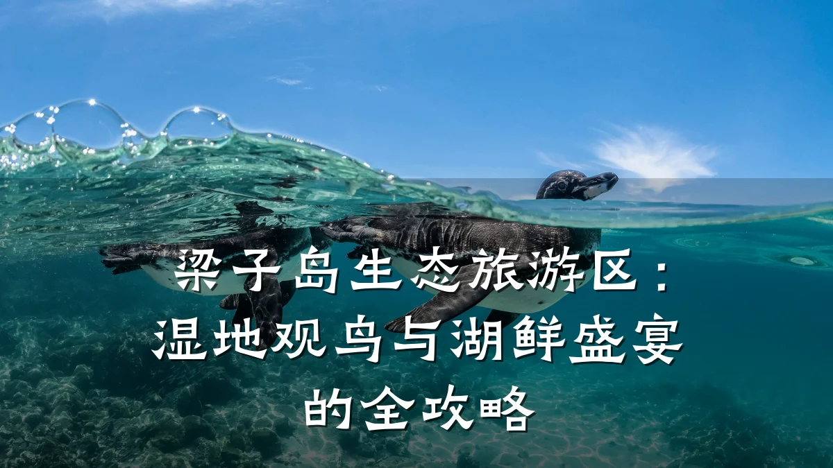 梁子岛生态旅游区:湿地观鸟与湖鲜盛宴的全攻略