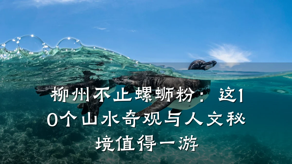 柳州不止螺蛳粉：这10个山水奇观与人文秘境值得一游