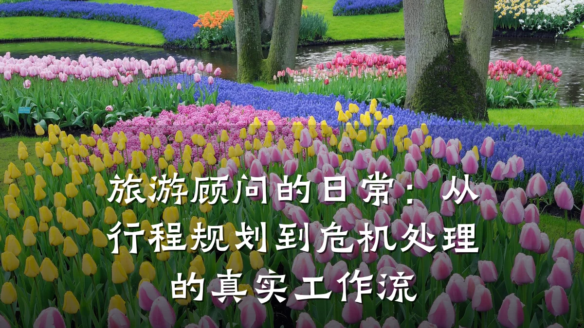 旅游顾问的日常:从行程规划到危机处理的真实工作流