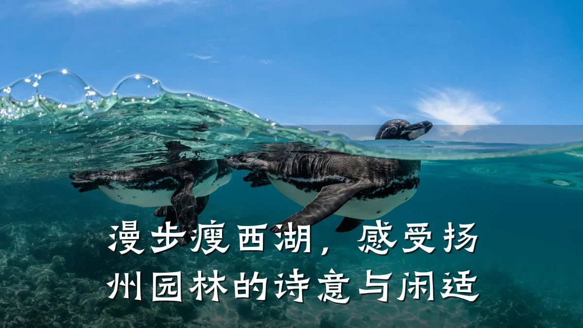 漫步瘦西湖,感受扬州园林的诗意与闲适