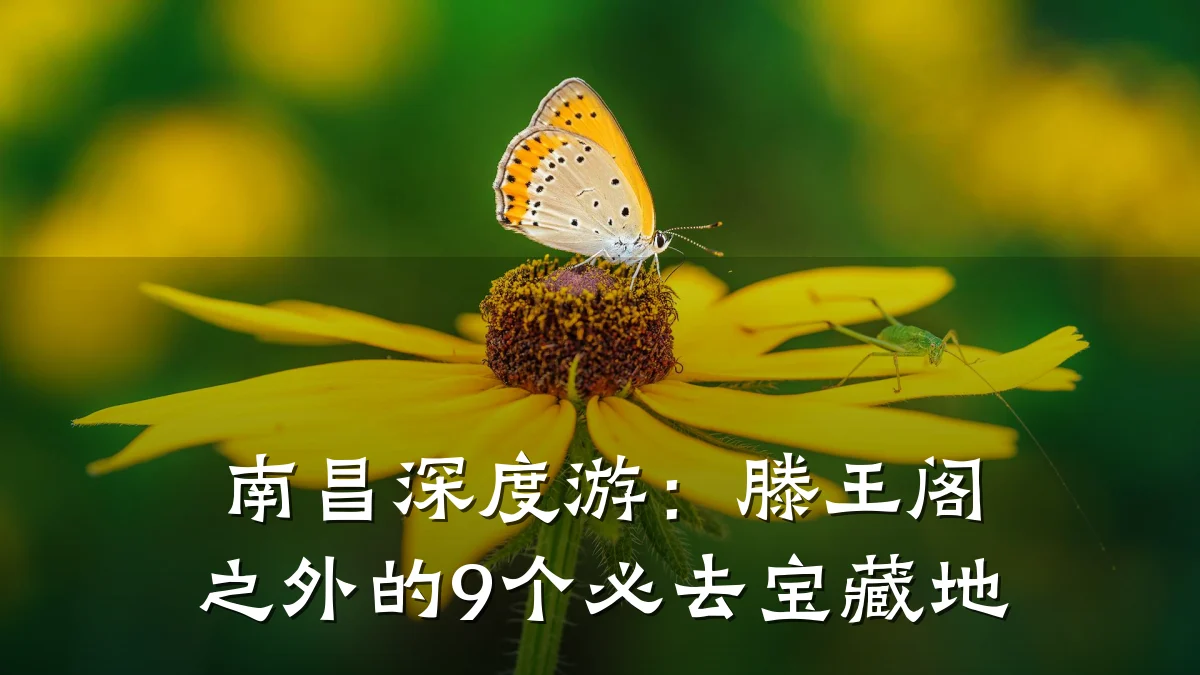 南昌深度游:滕王阁之外的9个必去宝藏地