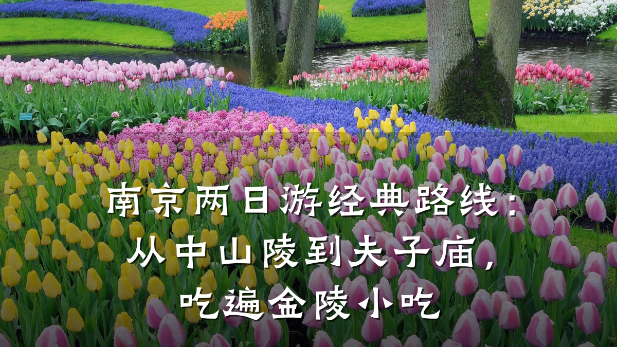 南京两日游经典路线：从中山陵到夫子庙，吃遍金陵小吃
