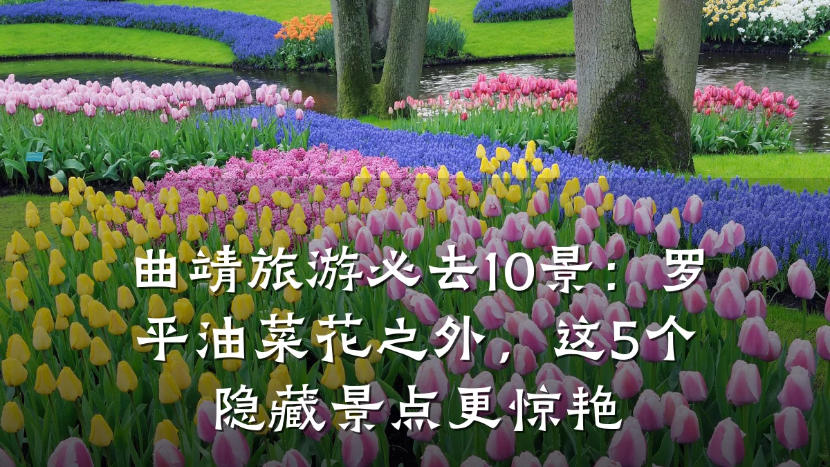 曲靖旅游必去10景:罗平油菜花之外,这5个隐藏景点更惊艳