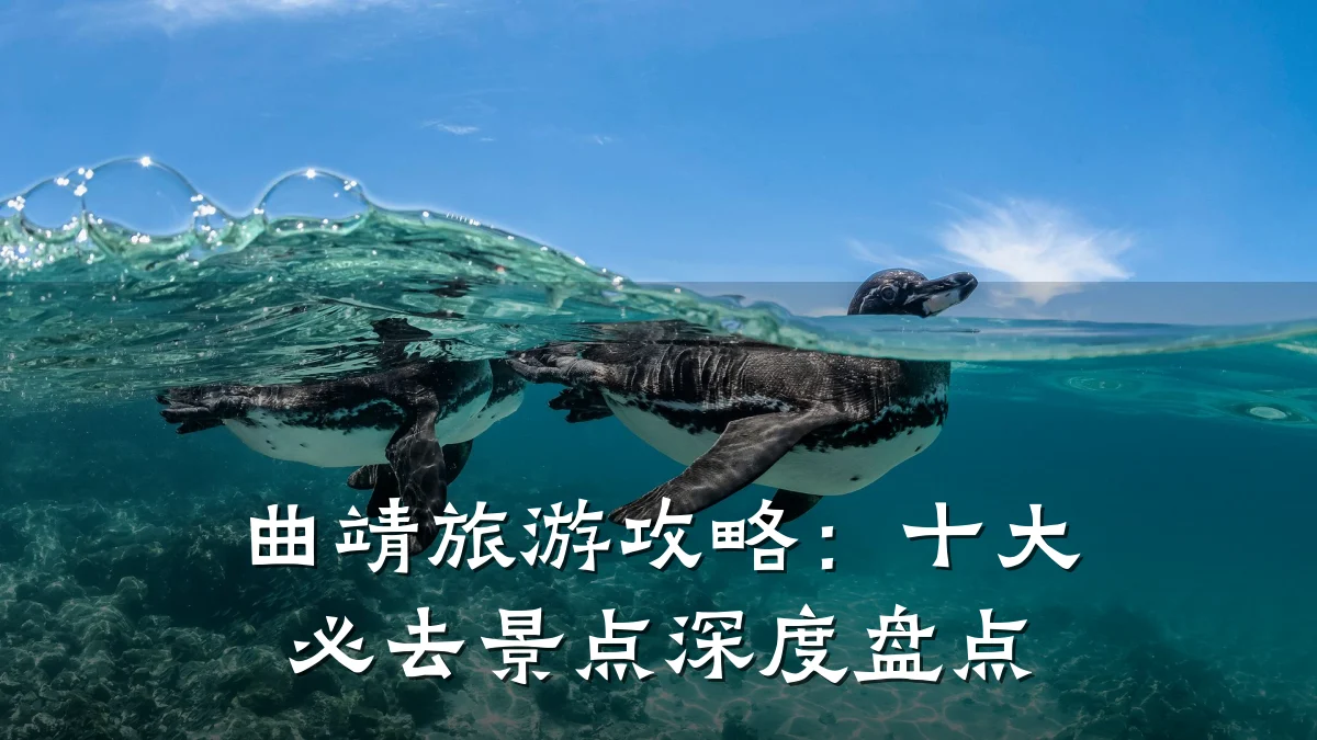 曲靖旅游攻略:十大必去景点深度盘点