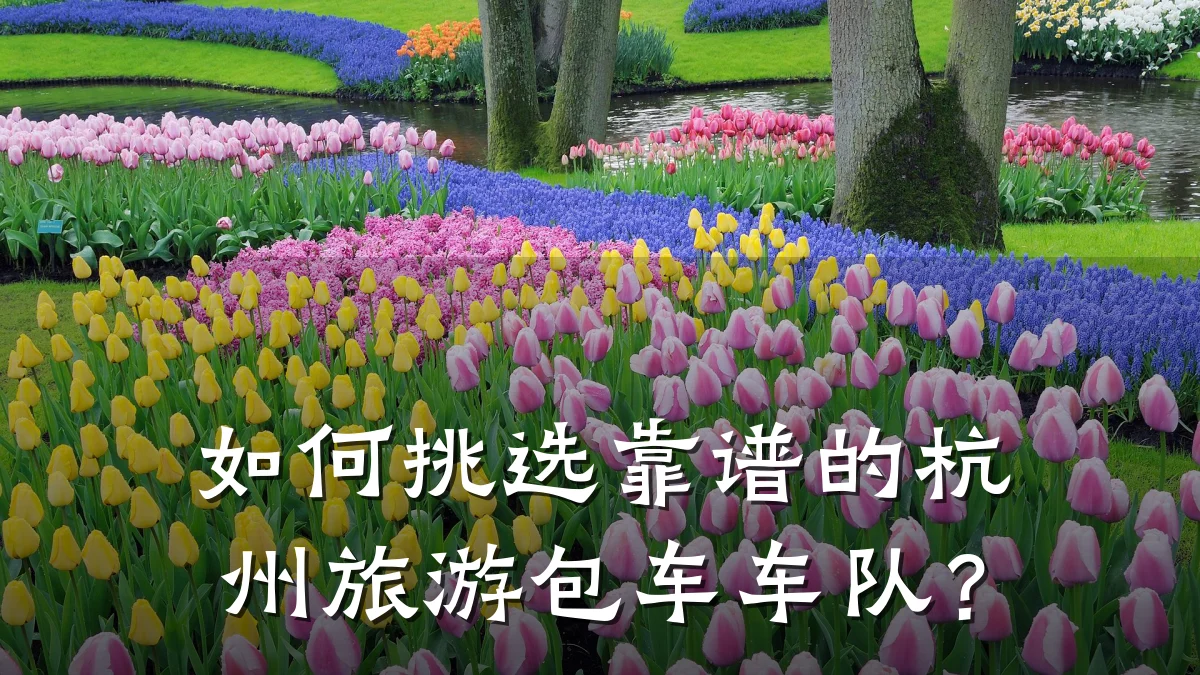 如何挑选靠谱的杭州旅游包车车队?