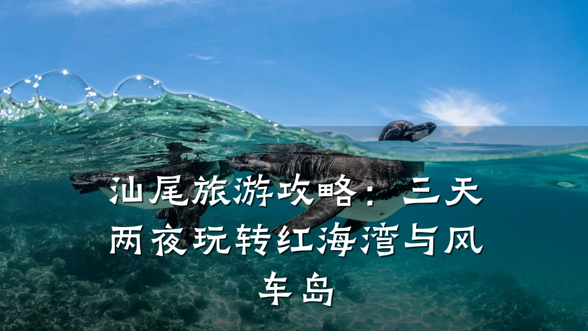 汕尾旅游攻略:三天两夜玩转红海湾与风车岛