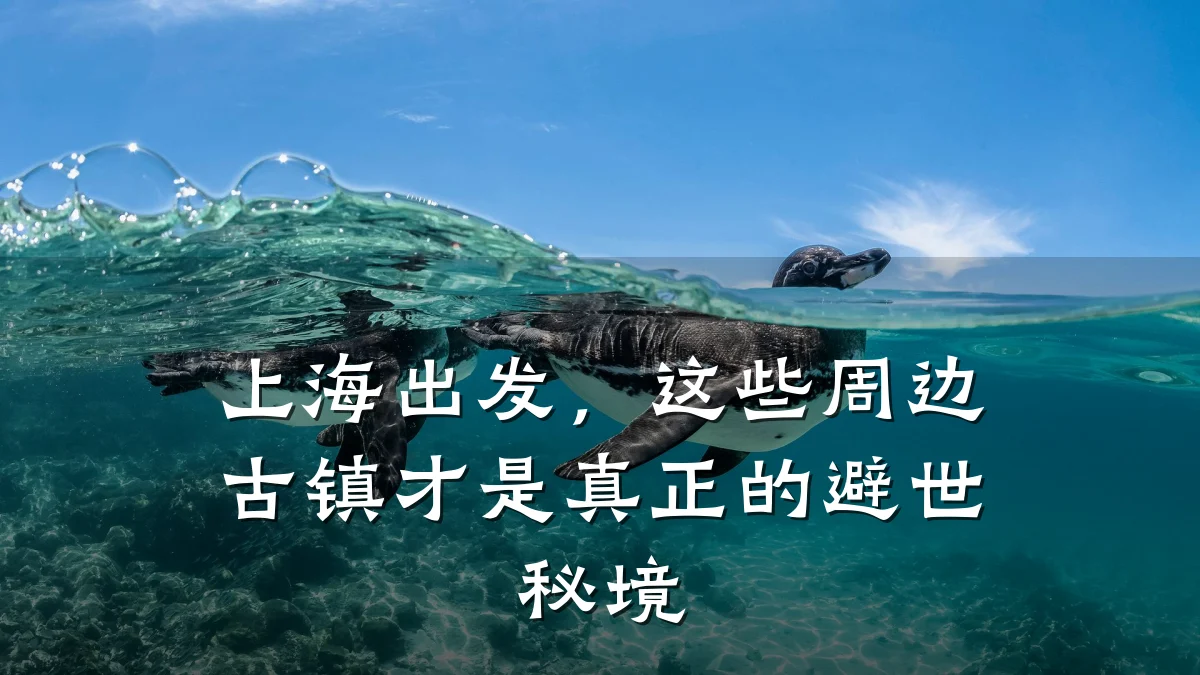 上海出发,这些周边古镇才是真正的避世秘境