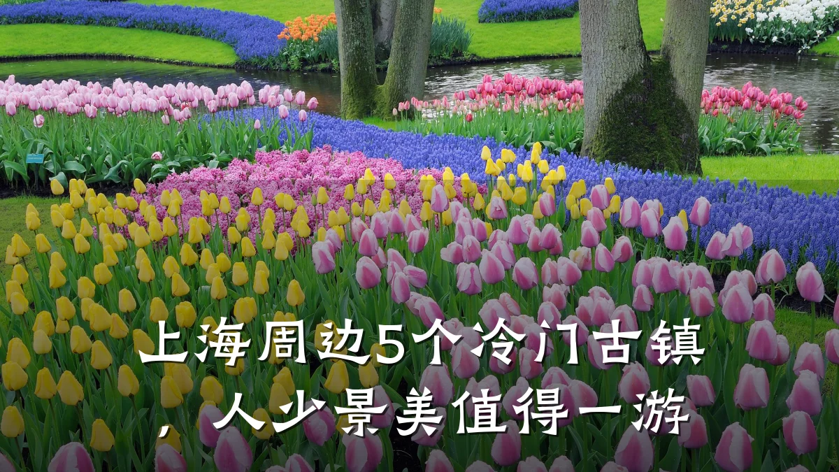 上海周边5个冷门古镇,人少景美值得一游