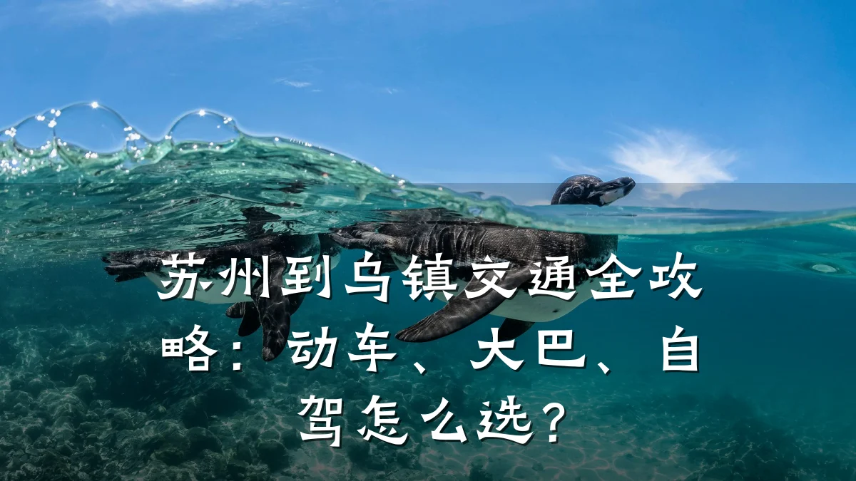 苏州到乌镇交通全攻略:动车、大巴、自驾怎么选?