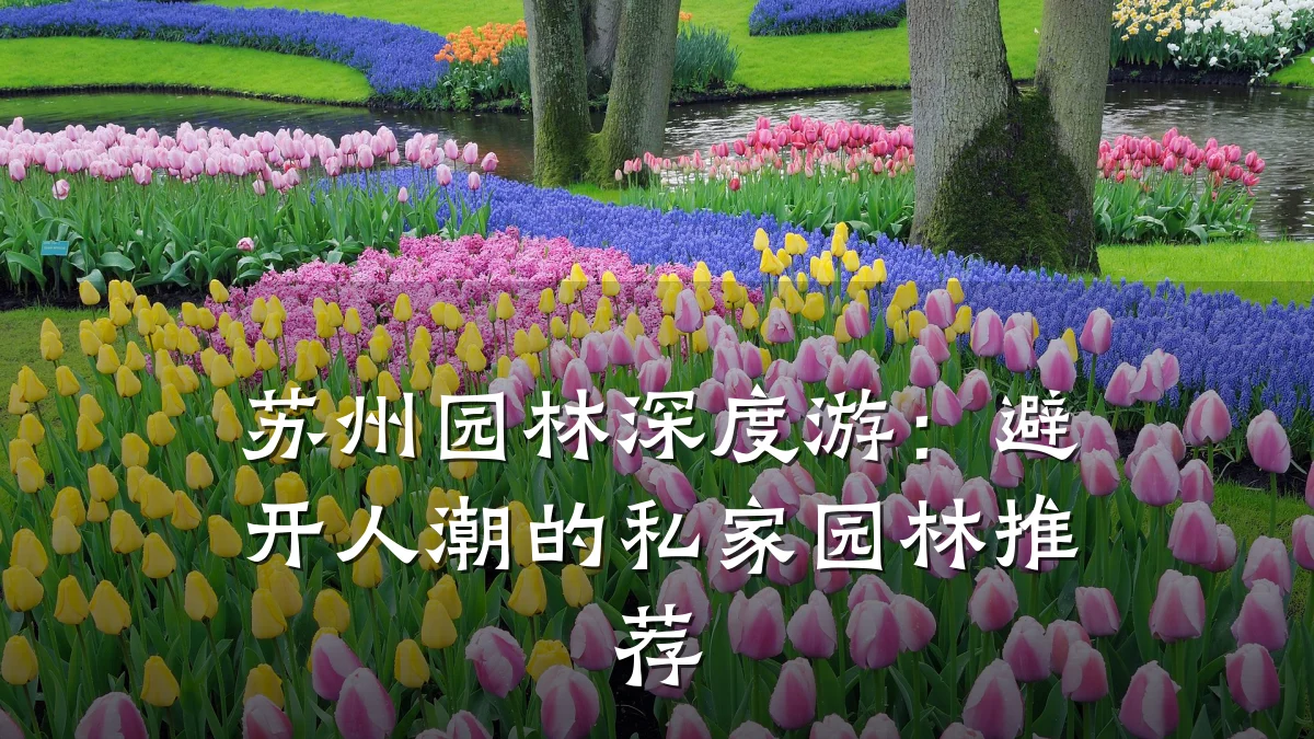 苏州园林深度游:避开人潮的私家园林推荐