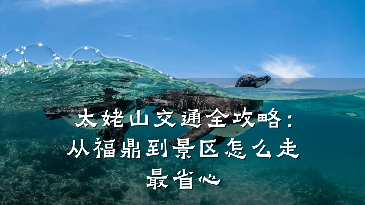 太姥山交通全攻略:从福鼎到景区怎么走最省心