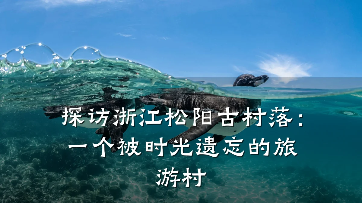 探访浙江松阳古村落:一个被时光遗忘的旅游村