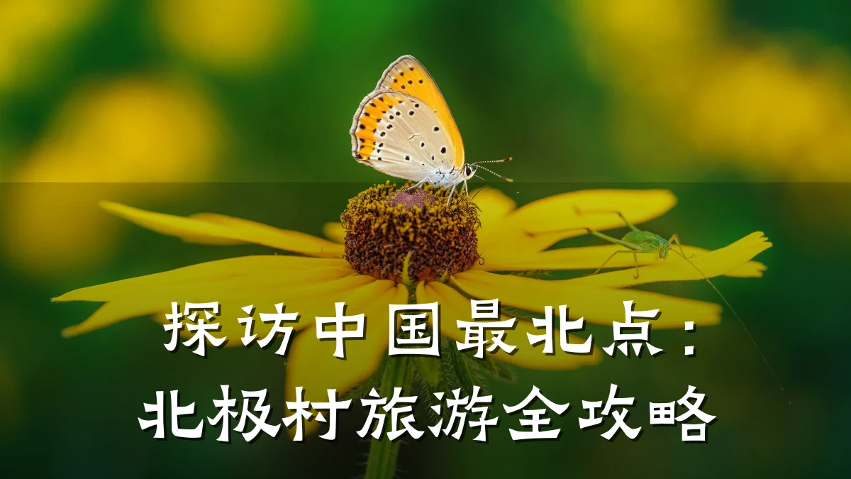 探访中国最北点:北极村旅游全攻略