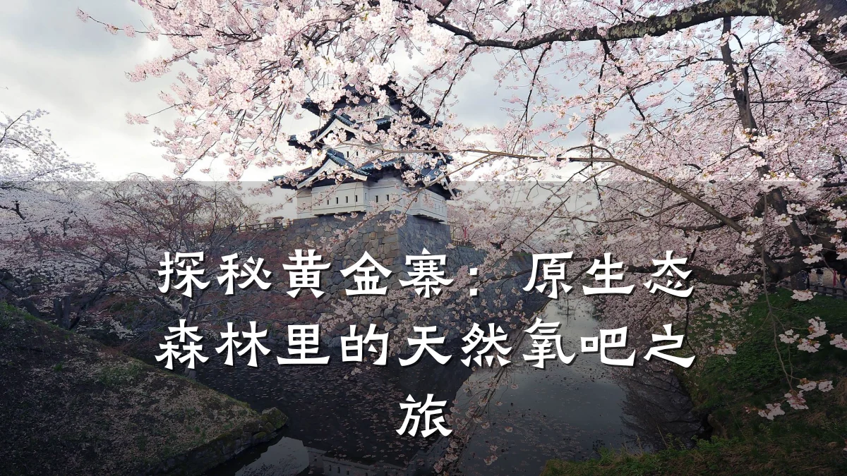 探秘黄金寨:原生态森林里的天然氧吧之旅