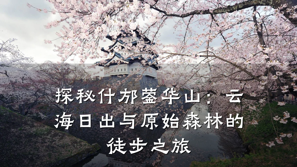 探秘什邡蓥华山:云海日出与原始森林的徒步之旅