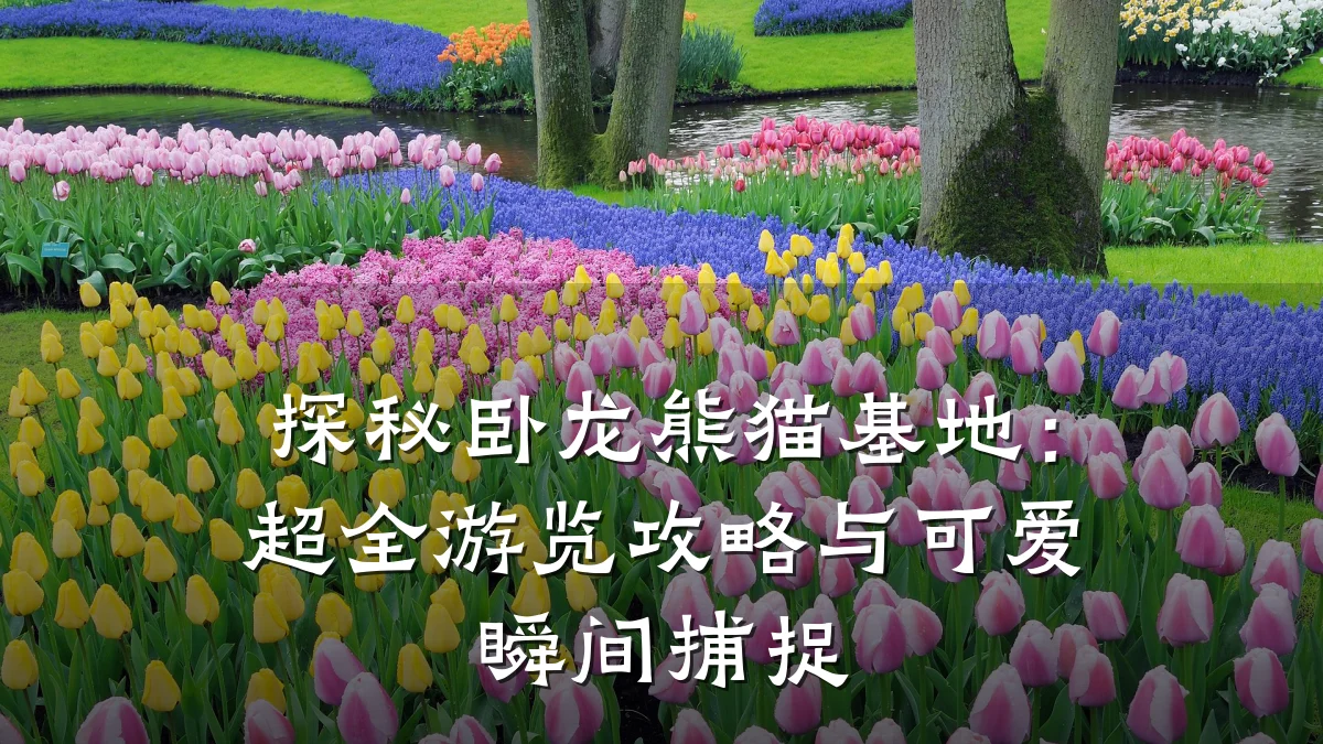 探秘卧龙熊猫基地:超全游览攻略与可爱瞬间捕捉