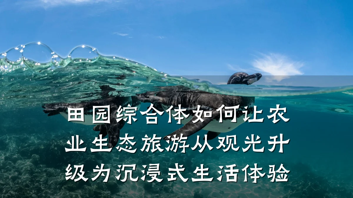 田园综合体如何让农业生态旅游从观光升级为沉浸式生活体验