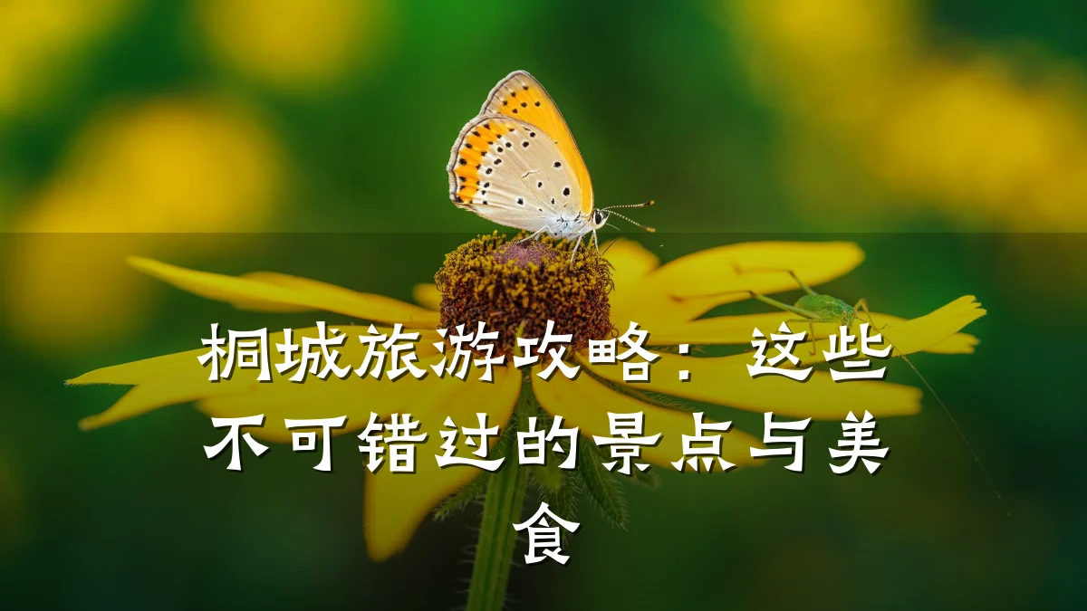 桐城旅游攻略:这些不可错过的景点与美食