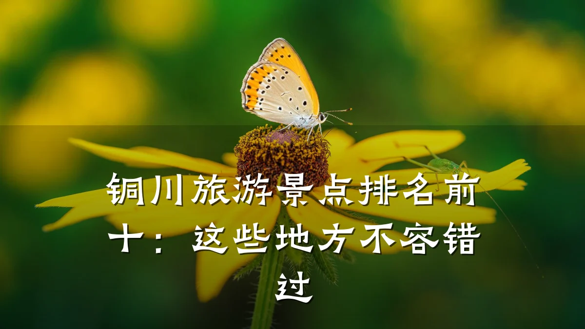 铜川旅游景点排名前十:这些地方不容错过