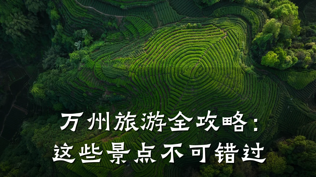 万州旅游全攻略:这些景点不可错过