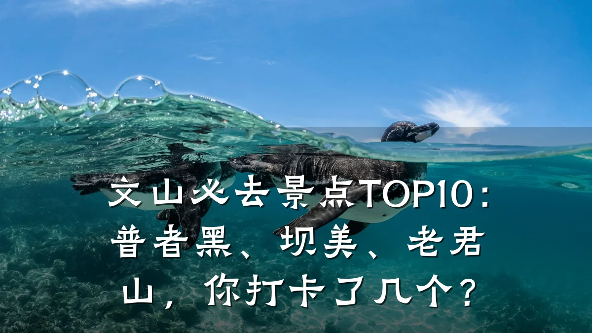 文山必去景点TOP10:普者黑、坝美、老君山,你打卡了几个?