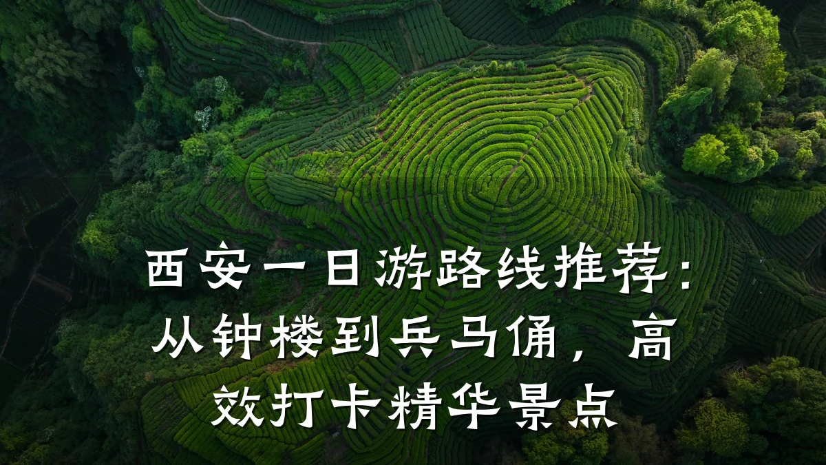 西安一日游路线推荐：从钟楼到兵马俑，高效打卡精华景点