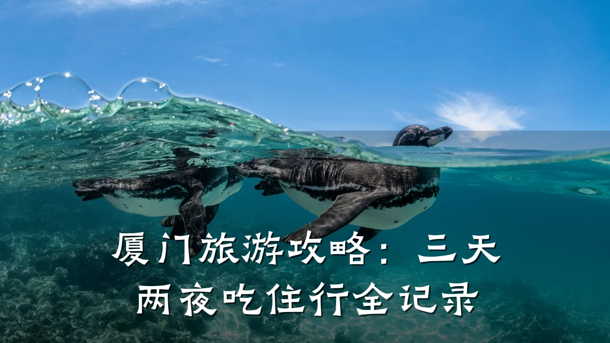 厦门旅游攻略:三天两夜吃住行全记录