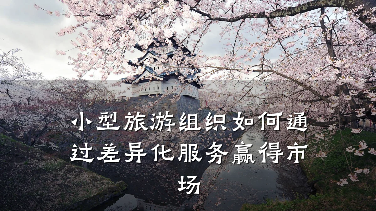 小型旅游组织如何通过差异化服务赢得市场