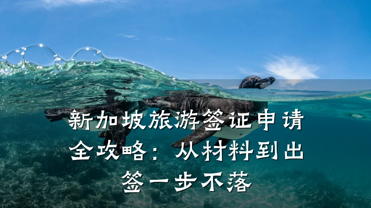 新加坡旅游签证申请全攻略:从材料到出签一步不落
