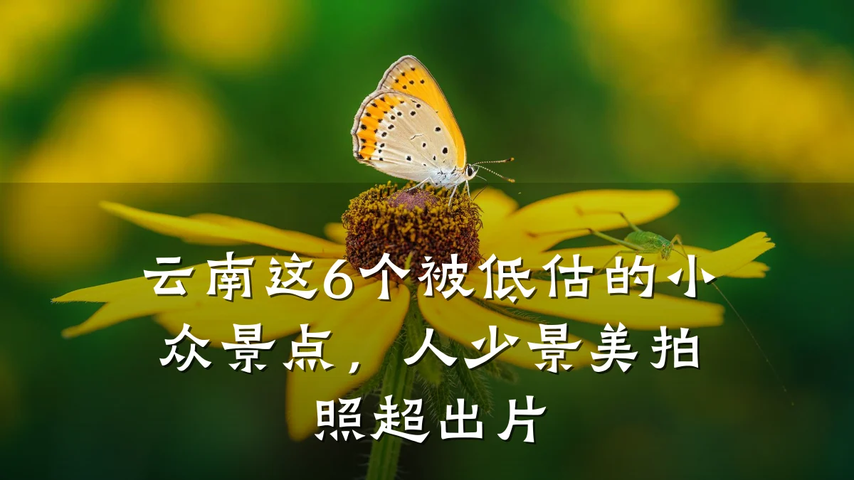 云南这6个被低估的小众景点,人少景美拍照超出片