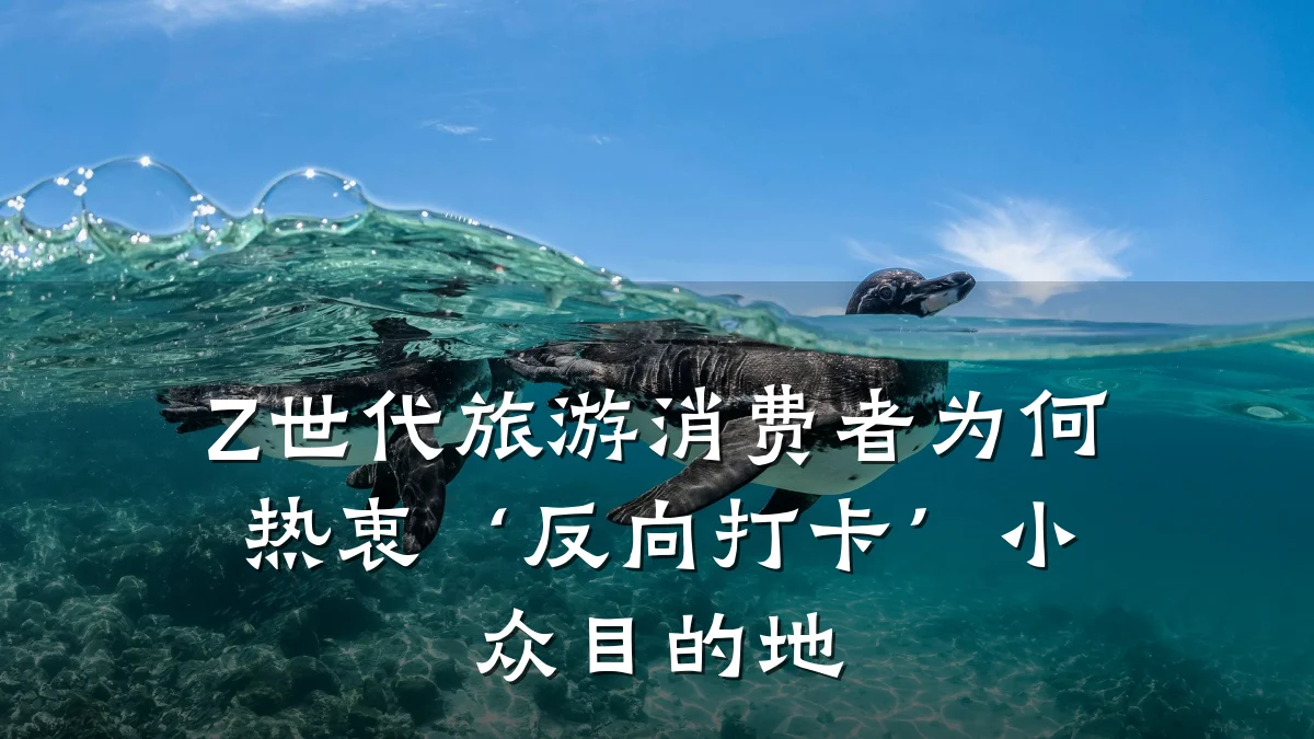 Z世代旅游消费者为何热衷‘反向打卡’小众目的地