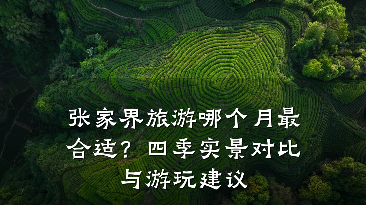 张家界旅游哪个月最合适?四季实景对比与游玩建议