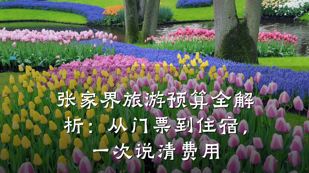 张家界旅游预算全解析：从门票到住宿，一次说清费用