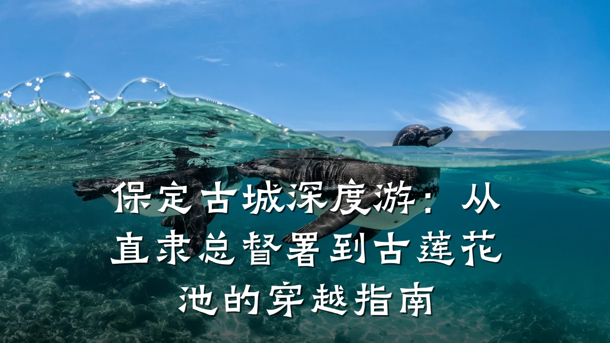 保定古城深度游:从直隶总督署到古莲花池的穿越指南