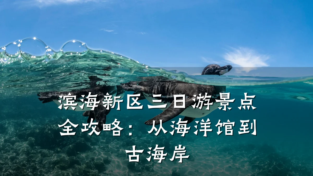 滨海新区三日游景点全攻略:从海洋馆到古海岸