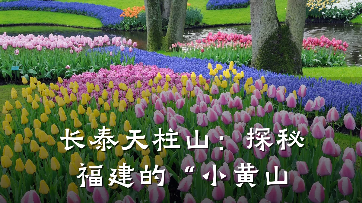 长泰天柱山:探秘福建的“小黄山