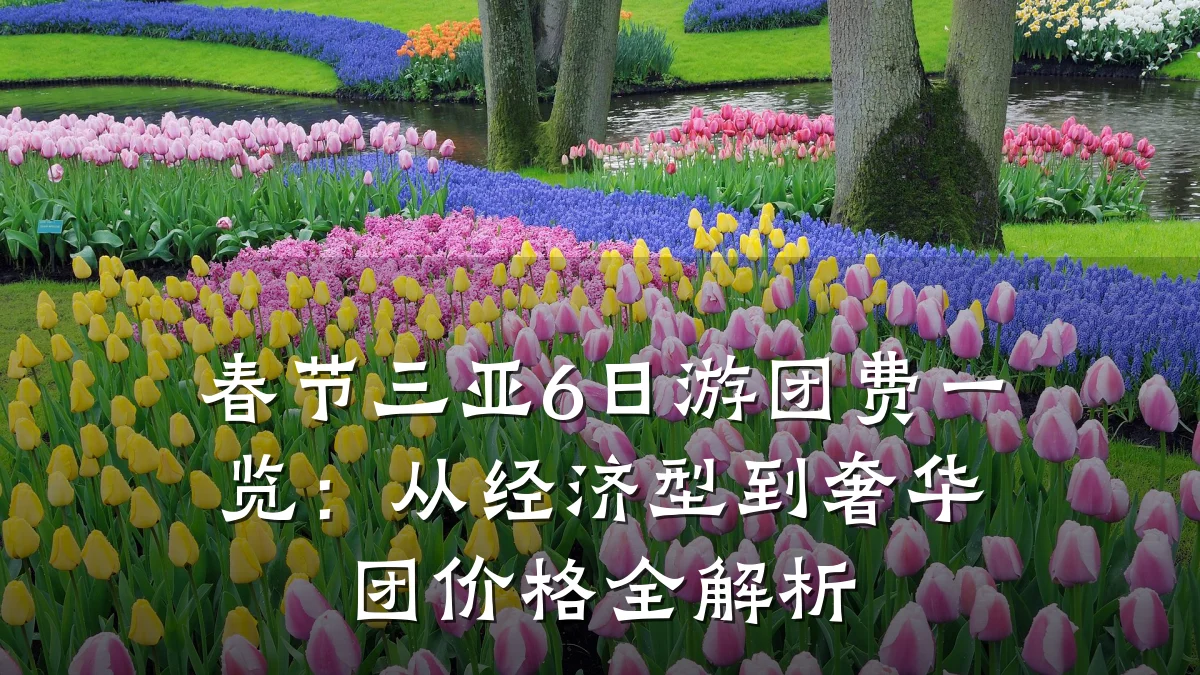 春节三亚6日游团费一览:从经济型到奢华团价格全解析