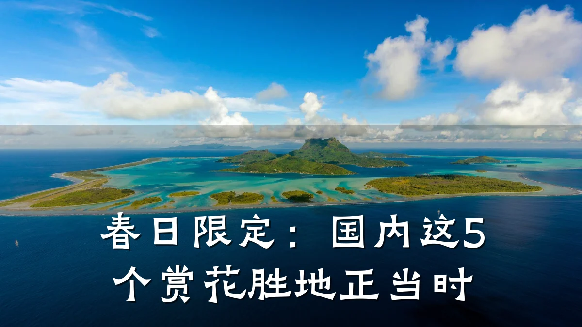春日限定:国内这5个赏花胜地正当时